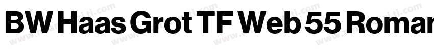 BW Haas Grot TF Web 55 Roman字体转换